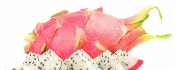 麒麟果怎么判断新鲜度