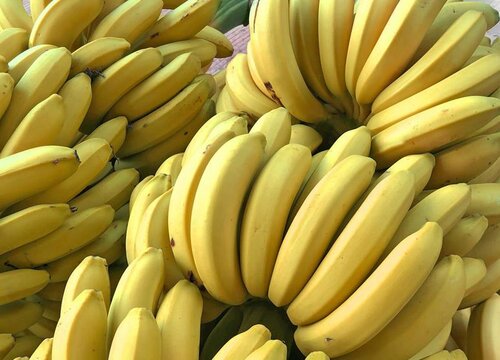 香蕉亩产量一般多少斤