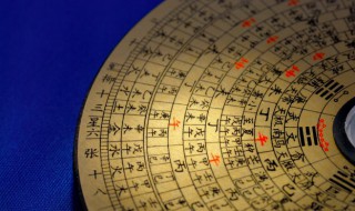 属猴的运气如何 属猴的运势怎么样