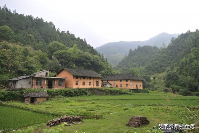 适合3万以下的养殖项目 在农村养殖什么不愁销路又赚钱