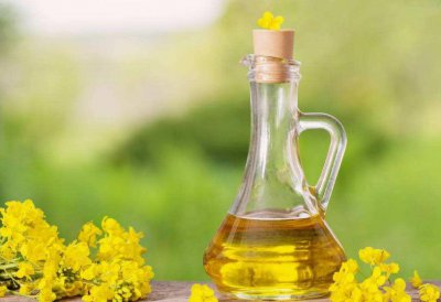 稻米油是什么油 为什么现在流行吃稻米油