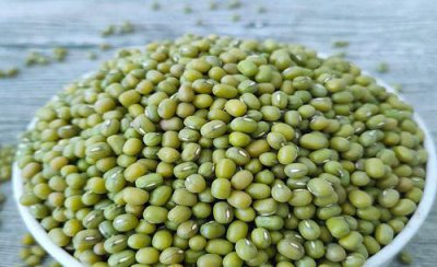 绿豆什么时候收割最适宜 一般在什么月份采摘收获