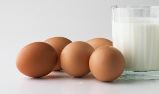 刚生的鸡蛋可以放冰箱吗 鲜鸡蛋可以直接放到冰箱吗