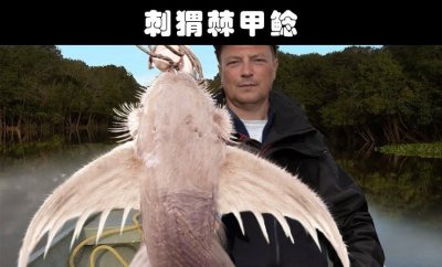 水生动物有哪些 地球上发现的9种非常奇特的水生生物