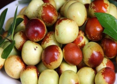 冬枣和什么不能一起吃 同食会相克的食物