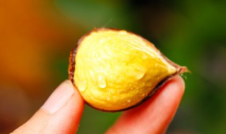 常温下新鲜板栗能保存的时间 常温下新鲜板栗可以放多长时间