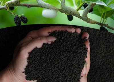 蚕砂做花肥 蚕砂可以做花肥吗