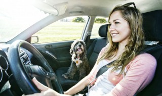 会车什么意思 会车的含义