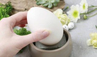 早上空腹吃鹅蛋好吗 早上空腹吃鹅蛋好不好呢