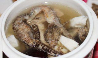 海马食用方法和禁忌 海马怎么食用和有哪些禁忌