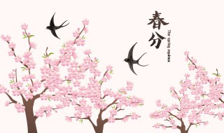 春分当天可以吃蛋吗 春分当天是否可以吃蛋