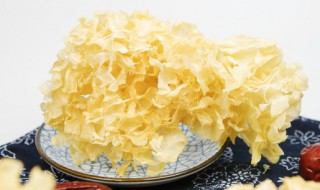 如何辨别银耳的好坏 怎样辨别银耳品质的好坏呢
