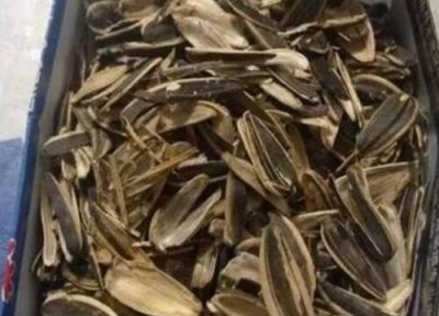 瓜子壳可以用来种兰花吗 瓜子壳花生壳养兰花的好处