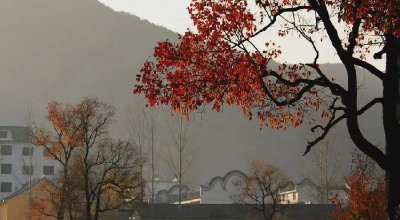 性格内向的人适合什么职业 适合安静者的10种工作