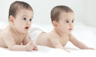 属猴人生的几月出生最好命 猴宝宝什么时候出世最好