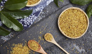 桂花可以直接泡茶喝吗 桂花能不能直接泡茶喝呢