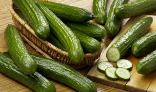 适合七八月份种的蔬菜 进入八月份适合种植的蔬菜品种有哪些