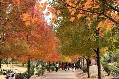 湖南的大学考研排名 湖南地区考研容易上岸的院校