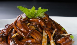 钓黄鳝怎么钓 钓黄鳝的方法