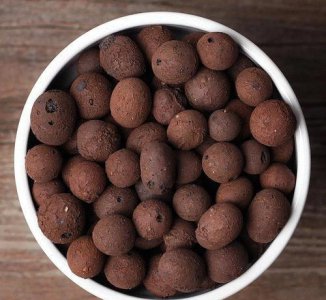 种花的陶粒是什么材料做成的 用陶粒养花有什么好处