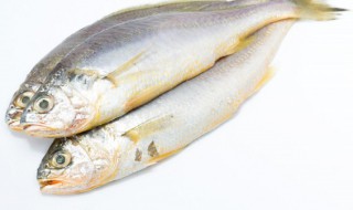 孕期吃鱼的好处和坏处 孕期吃鱼有哪些好处和坏处