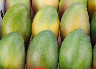 芒果有哪些品种与种类 哪个品种芒果最好吃