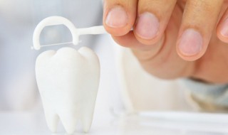 怎样判断牙齿是否新鲜 怎样分辨牙齿是旧牙还是新牙