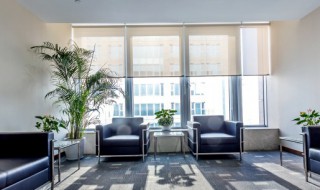 客厅适合养什么木 客厅养什么植物好