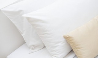 乳胶和海绵的区别 乳胶和海绵的不同