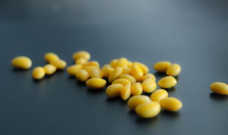 黄豆储存方法 黄豆怎么储藏