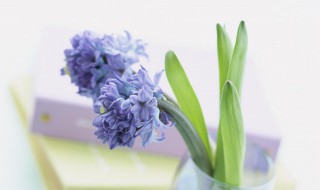 2023早安心语正能量 2023年早安心语励志短句大全