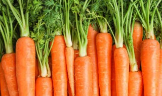 洗胡萝卜的简单方法 如何清洗胡萝卜呢