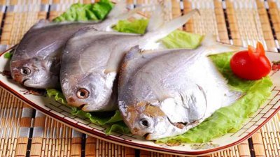 深海鱼都有什么鱼能吃 这五种鱼是深海鱼品种可食用