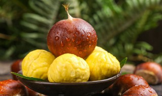 板栗适合什么季节播种呢 板栗适合哪个季节播种呢