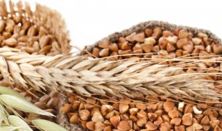 在美国去旅游注意什么饮食 在美国去旅游注意哪些饮食