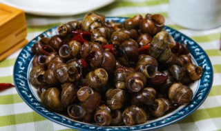 田螺放一晚上能吃吗 田螺放一晚上还可以食用吗