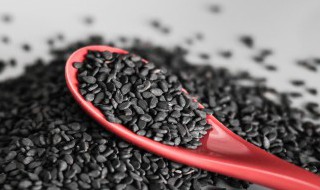 黑芝麻酱怎么做 黑芝麻酱做法