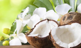 椰子和香蕉能一起吃吗 椰子和香蕉可以一起吃吗