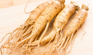 人参泡酒制作过程 人参酒的泡法及配方