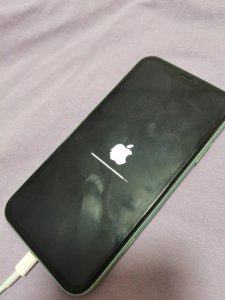 iphone出现苹果标志无法开机 苹果开不了机怎么回事
