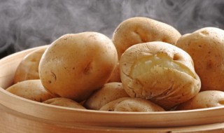 土豆多吃的好处和坏处 长期吃土豆有什么好处和坏处