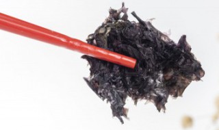 多吃紫菜的好处和坏处 多吃紫菜有哪些好处和坏处