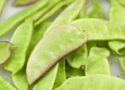 扁豆洗干净的方法 扁豆怎么洗才干净