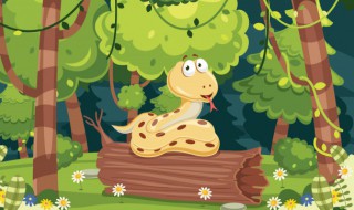 属蛇人几月出生最好命 属蛇人哪个月份出世好