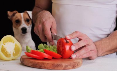 狗狗不能吃的20种水果 狗狗绝对不能吃的蔬果食物