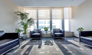 鹅掌树适合客厅摆放吗 鹅掌树放客厅好不好