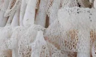 竹荪时间长了发黄能吃吗 竹荪时间长了发黄是否能吃