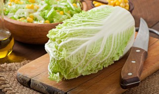 新鲜大白菜怎么保存不发霉 新鲜大白菜保存的方法有哪些