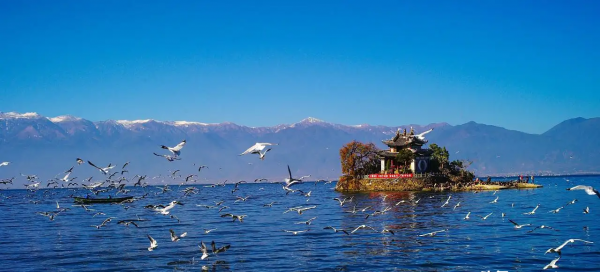 来大理必吃十大美食攻略