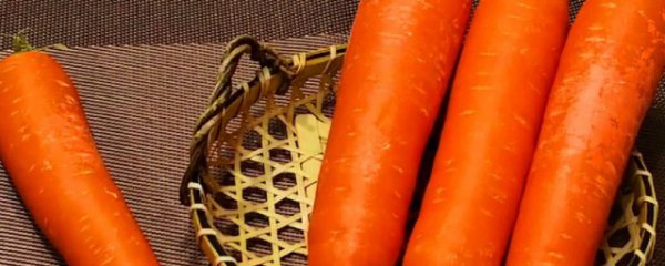 如何保存胡萝卜不坏